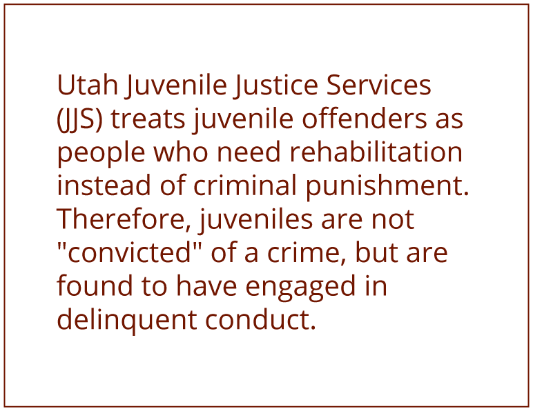 Juvenile-Crimes-1.jpg